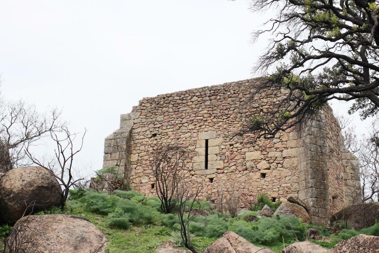 La Grulla Gris Guest House Perales del Puerto Екстериор снимка